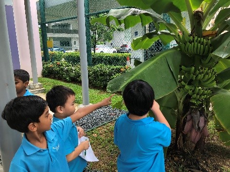 photo 6.jpg